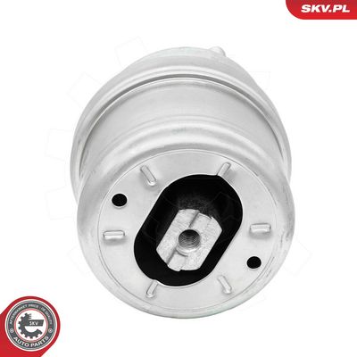 variklio montavimas 75SKV213 ESEN SKV