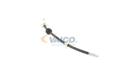 FURTUN FRANA VAICO V244100 33