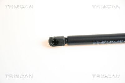 Amortizor capota TRISCAN 8710 65103