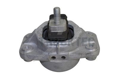 TRUCKTEC AUTOMOTIVE Variklio montavimas