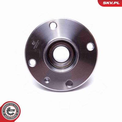 SET RULMENT ROATA ESEN SKV 29SKV544 3