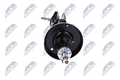 AMORTIZOR NTY APL060 34