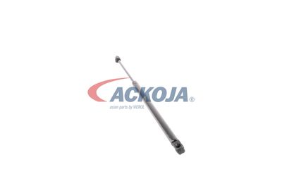 AMORTIZOR PORTBAGAJ ACKOJA A320077 47
