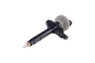 INJECTOR REMANTE 002003000191R 62
