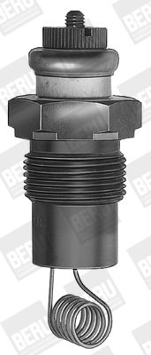 BorgWarner (BERU) Glühkerze