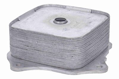 RADIATOR ULEI ULEI MOTOR ACKOJA A26600009 4