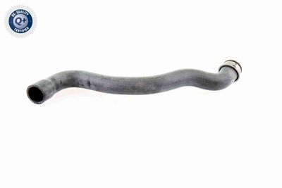 KüHLERSCHLAUCH VAICO V301655 5