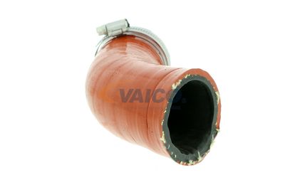 LADELUFTSCHLAUCH VAICO V102847 49