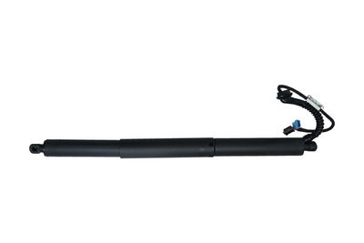 Galinių durų elektros variklis