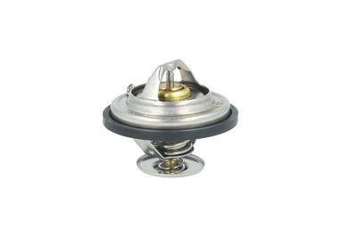 TERMOSTAT LICHID RACIRE NRF 725478 18