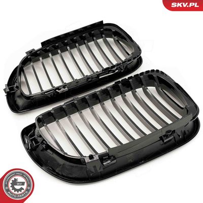 GRILA RADIATOR ESEN SKV 66SKV075 3