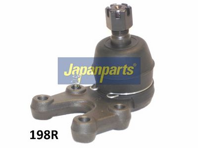 JAPANPARTS Šarnyras / girgždukas