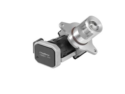 AGR-VENTIL BTS Turbo A100031