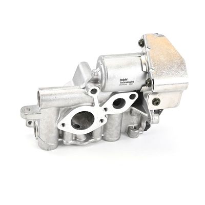 AGR-VENTIL DELPHI EG1073012B1 25