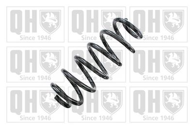 QUINTON HAZELL QCS8819 Пружина подвески  для SEAT (Сеат)