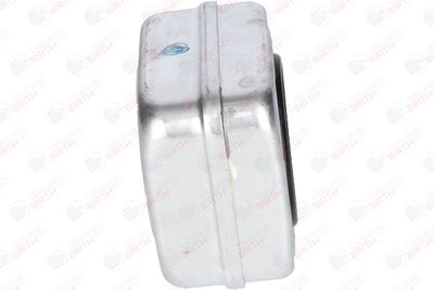 RADIATOR ULEI ULEI MOTOR BIRTH 8923 10