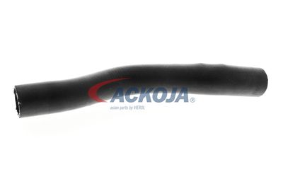 FURTUN RADIATOR ACKOJA A261604 33