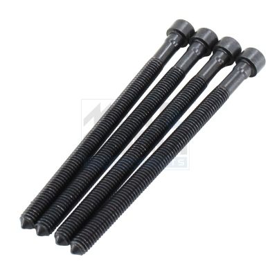 SURUB SUPORT INJECTOR