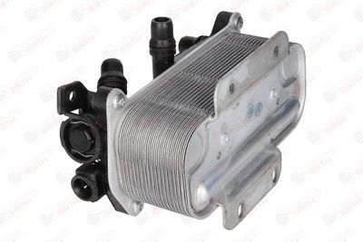 RADIATOR ULEI ULEI MOTOR BIRTH 80757 5