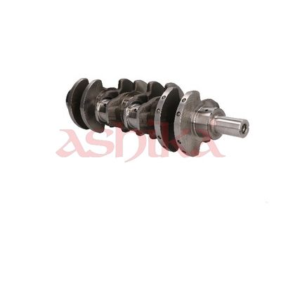 ARBORE COTIT ASHIKA 18KI001 1