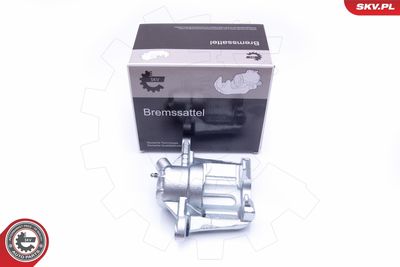 Brake Caliper 42SKV842