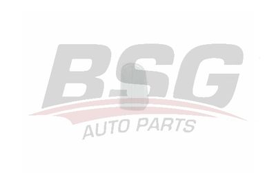 Ручка двери BSG BSG 30-970-059 для FORD C-MAX