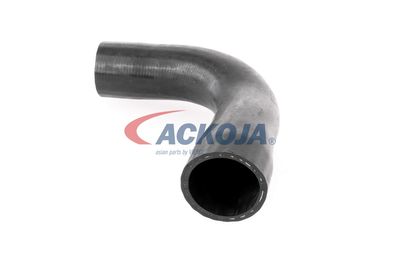 FURTUN EAR SUPRAALIMENTARE ACKOJA A389600 20