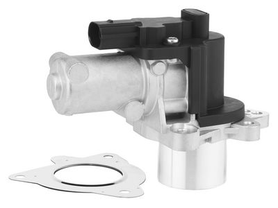 BorgWarner ERG vožtuvas