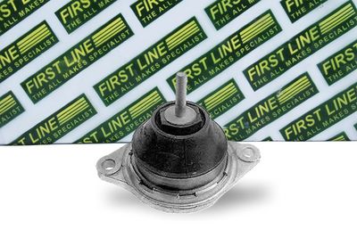 окачване, двигател FIRST LINE FEM3136