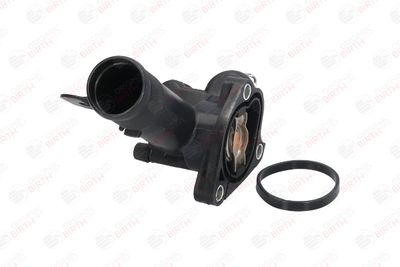 FLANSA LICHID RACIRE BIRTH 81036 5