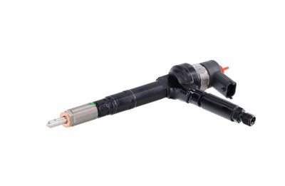 INJECTOR REMANTE 002003001094R 6