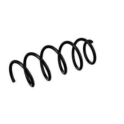 ARC SPIRAL EIBACH R10111 5