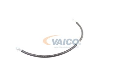 FURTUN FRANA VAICO V103077 30