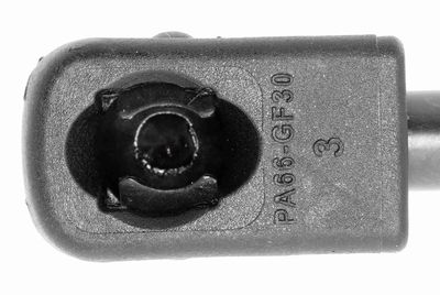 GASFEDER KOFFER-/LADERAUM VAICO V240207 2