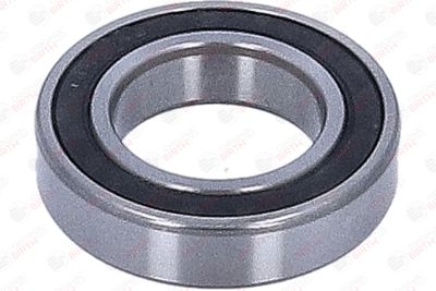 LAGAR INTERMEDIAR AX CARDANIC BIRTH 6621 11