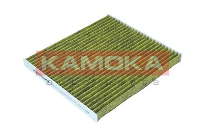 Filter, cabin air 6080024