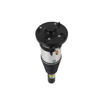 LUFTFEDERBEIN Arnott ASE3631 76