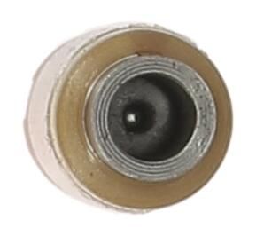 VENTILSTößEL AE FOL119 1