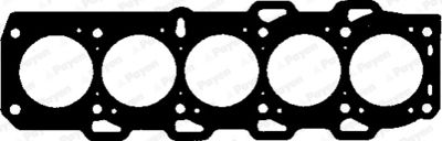PAYEN BW350 Прокладка ГБЦ  для LANCIA KAPPA SW (838_) 2.4 T.DS (838BH1AA)