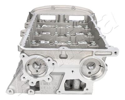 CHIULASA ASHIKA FO11ES 2