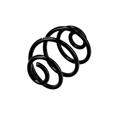 ARC SPIRAL EIBACH R10187 3