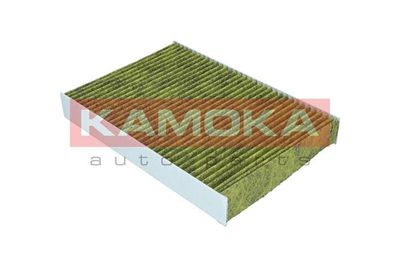 Filter, cabin air 6080067