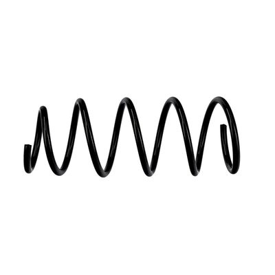 ARC SPIRAL EIBACH R10108 19