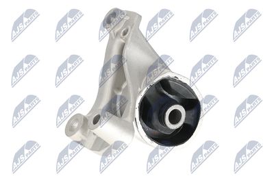 SUPORT MOTOR NTY ZPSHD066 31