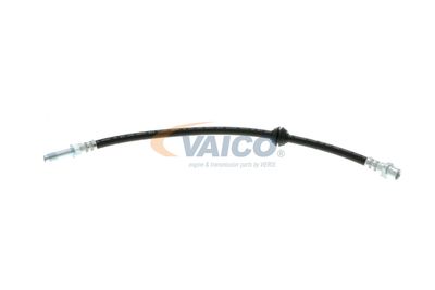 FURTUN FRANA VAICO V204107 3