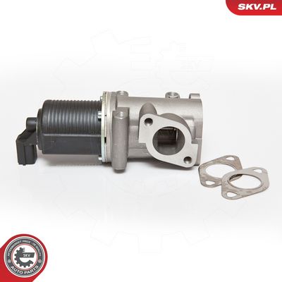 SUPAPA EGR ESEN SKV 14SKV076 5