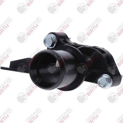 FLANSA LICHID RACIRE BIRTH 84035