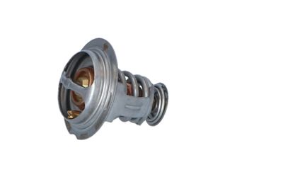 TERMOSTAT LICHID RACIRE NRF 725209 14