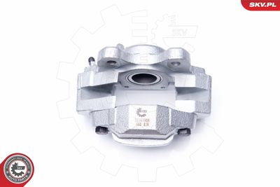 Brake Caliper 34SKV908