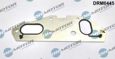 Těsnění, chladič oleje LIZARTE DRM0445
